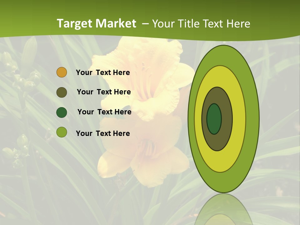 Daylily PowerPoint Template