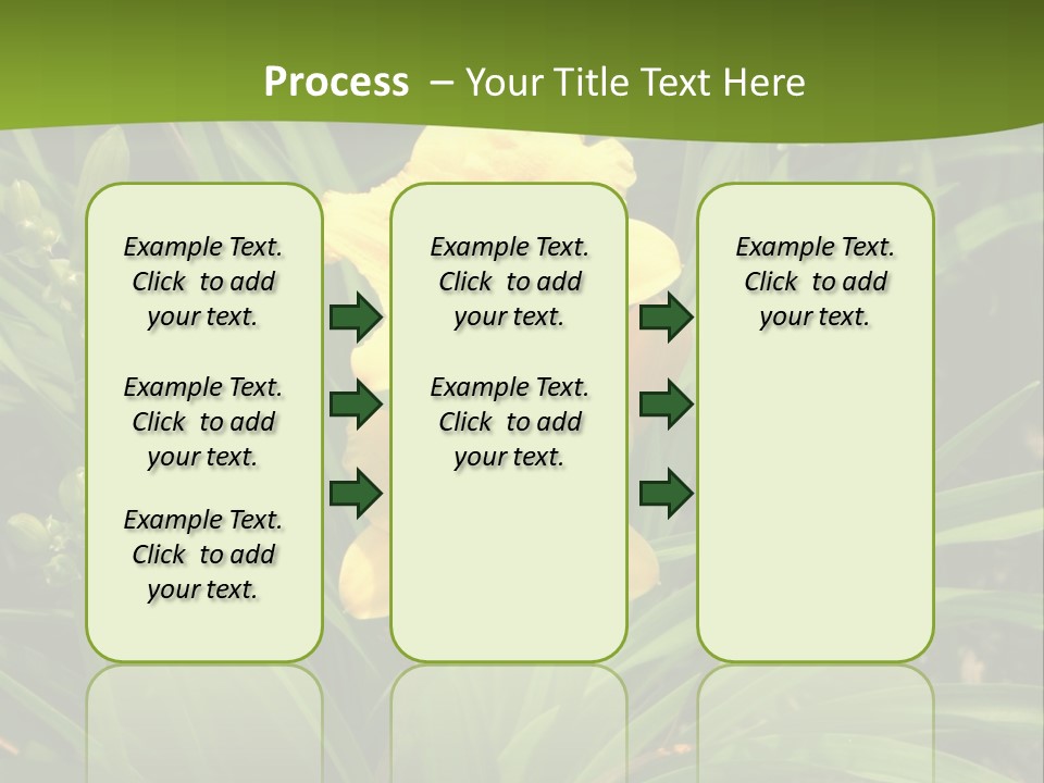 Daylily PowerPoint Template