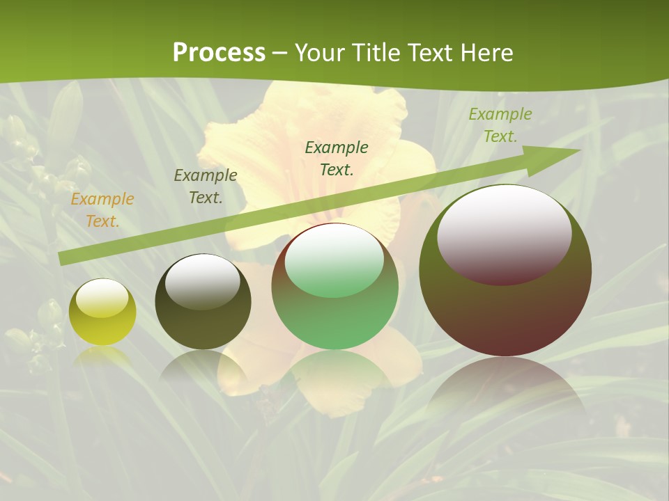 Daylily PowerPoint Template