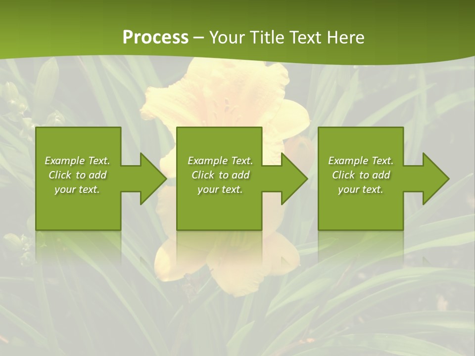 Daylily PowerPoint Template