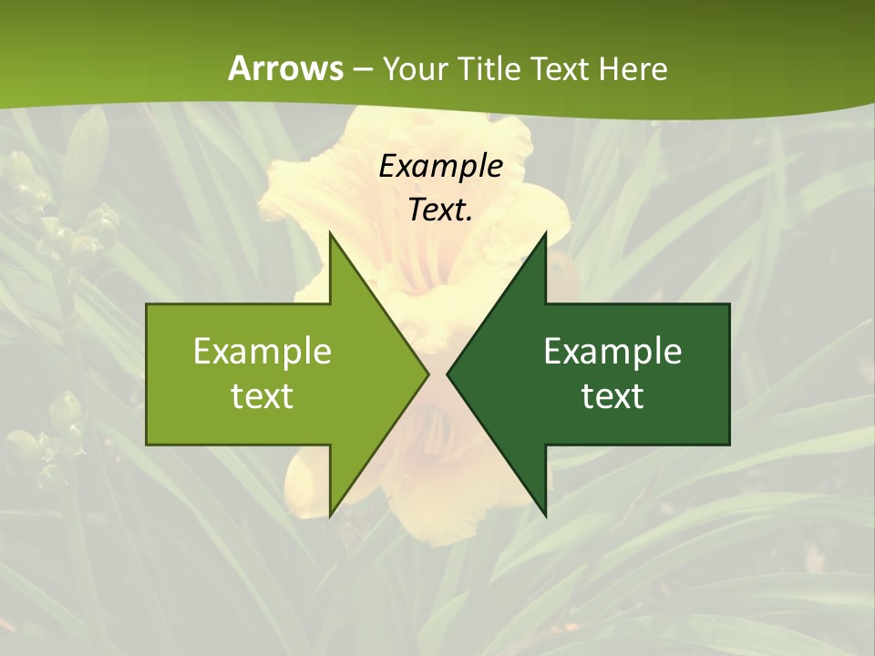 Daylily PowerPoint Template