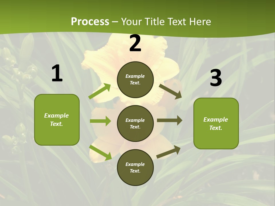 Daylily PowerPoint Template