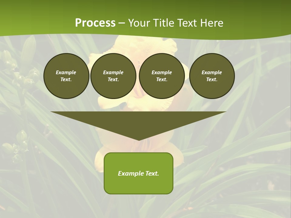 Daylily PowerPoint Template