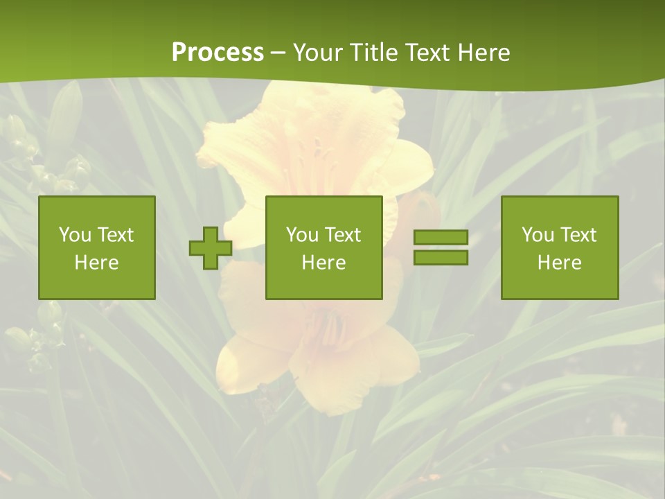Daylily PowerPoint Template