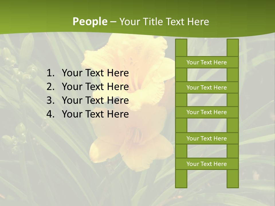 Daylily PowerPoint Template