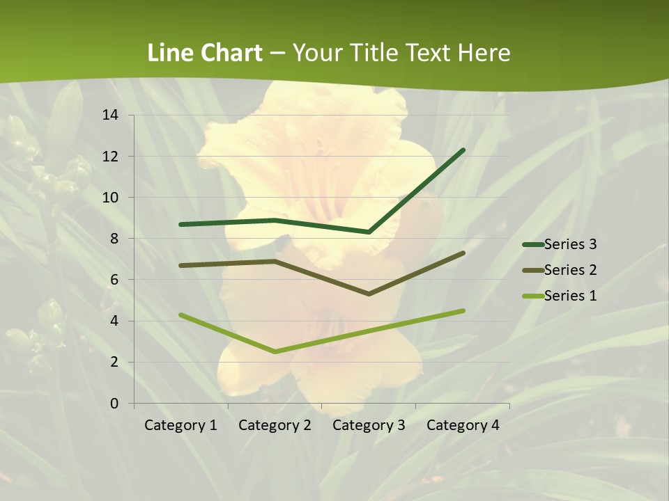 Daylily PowerPoint Template