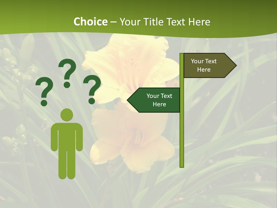 Daylily PowerPoint Template