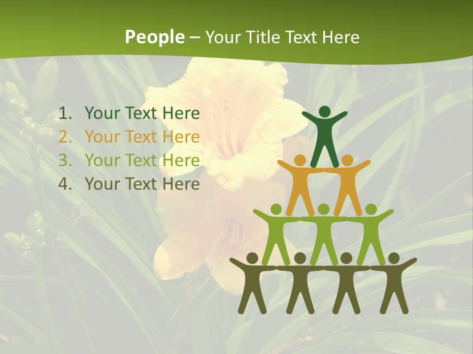 Daylily PowerPoint Template