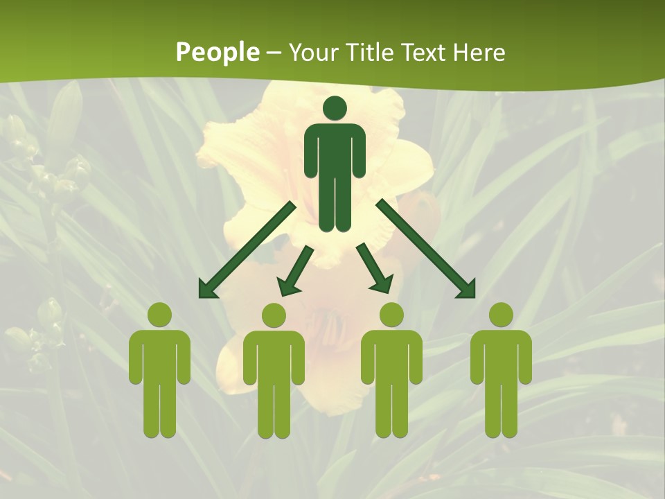 Daylily PowerPoint Template