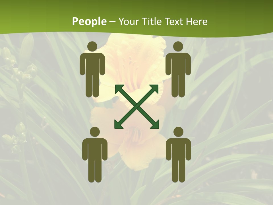 Daylily PowerPoint Template