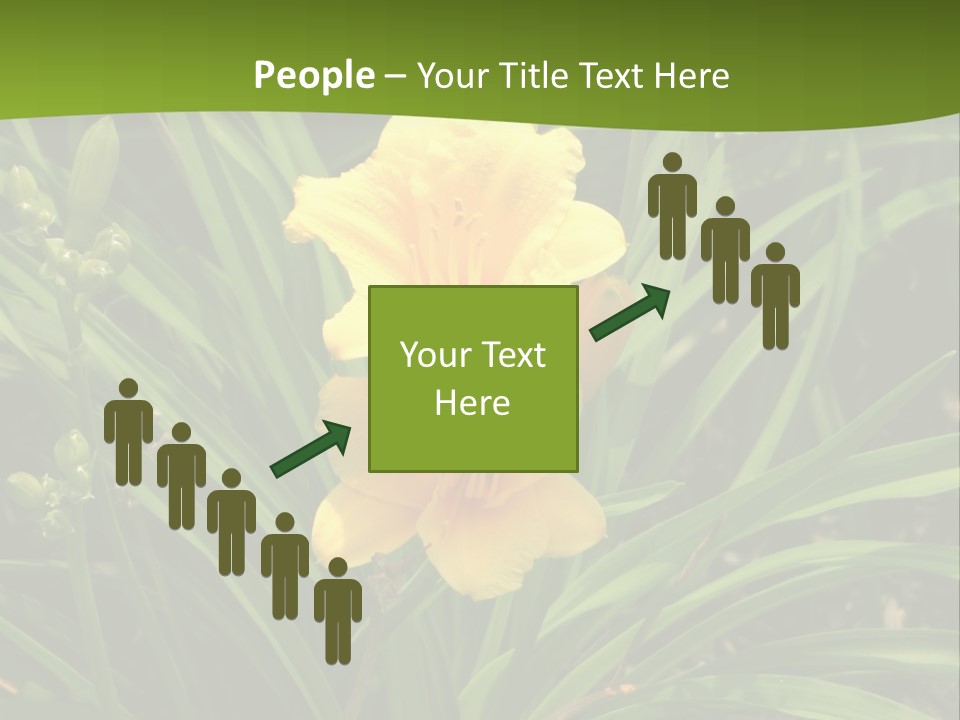 Daylily PowerPoint Template