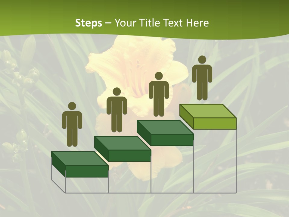Daylily PowerPoint Template