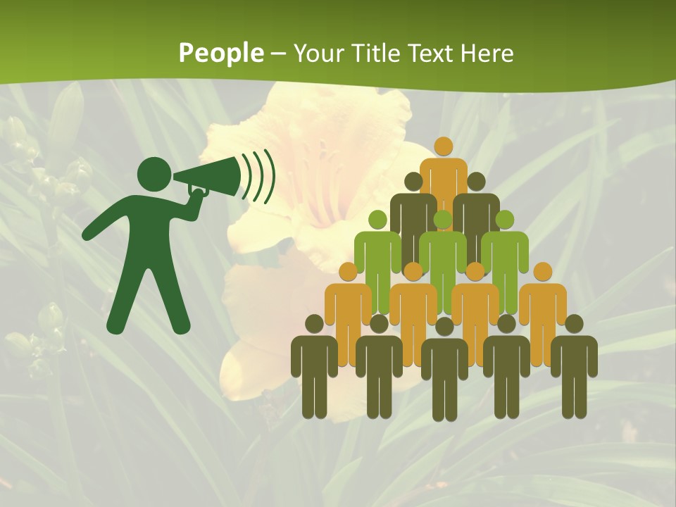 Daylily PowerPoint Template