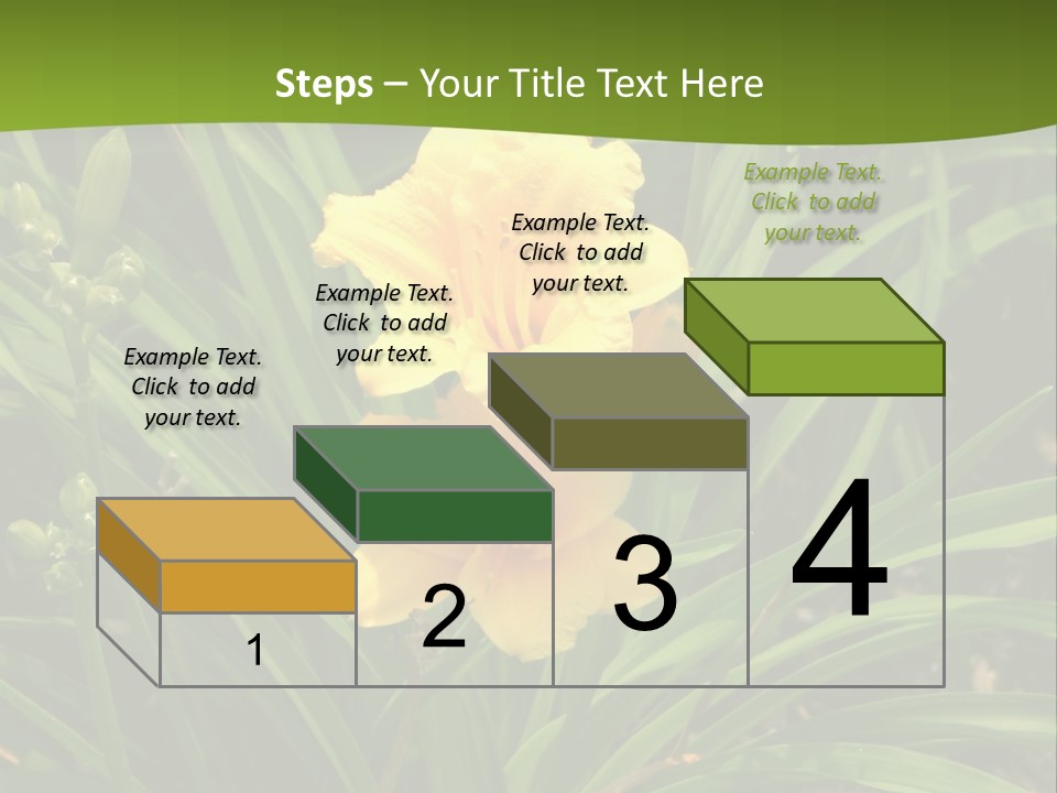 Daylily PowerPoint Template