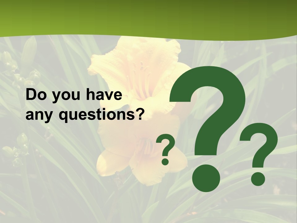 Daylily PowerPoint Template