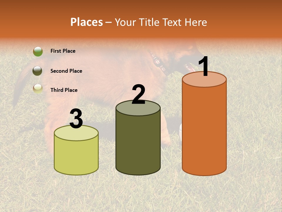 Tervueren Puppy PowerPoint Template