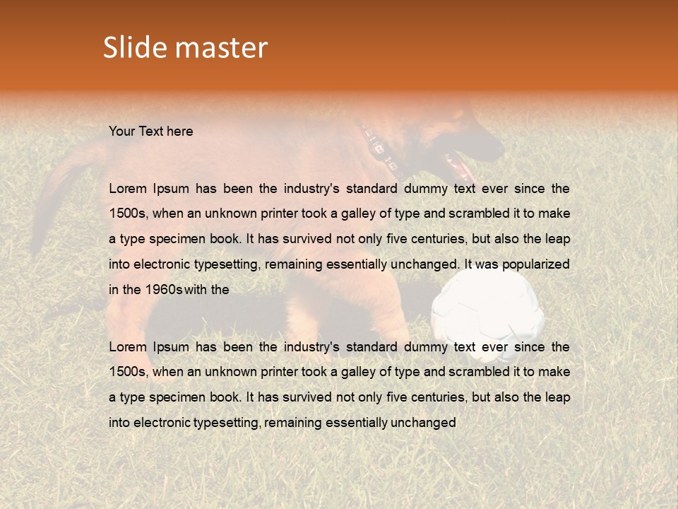 Tervueren Puppy PowerPoint Template