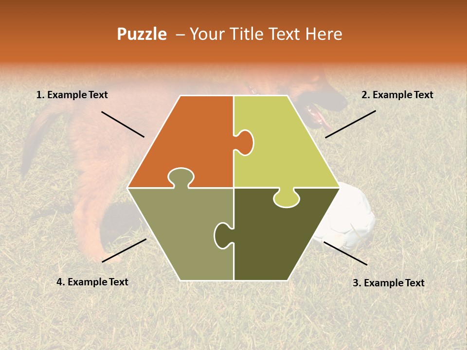 Tervueren Puppy PowerPoint Template