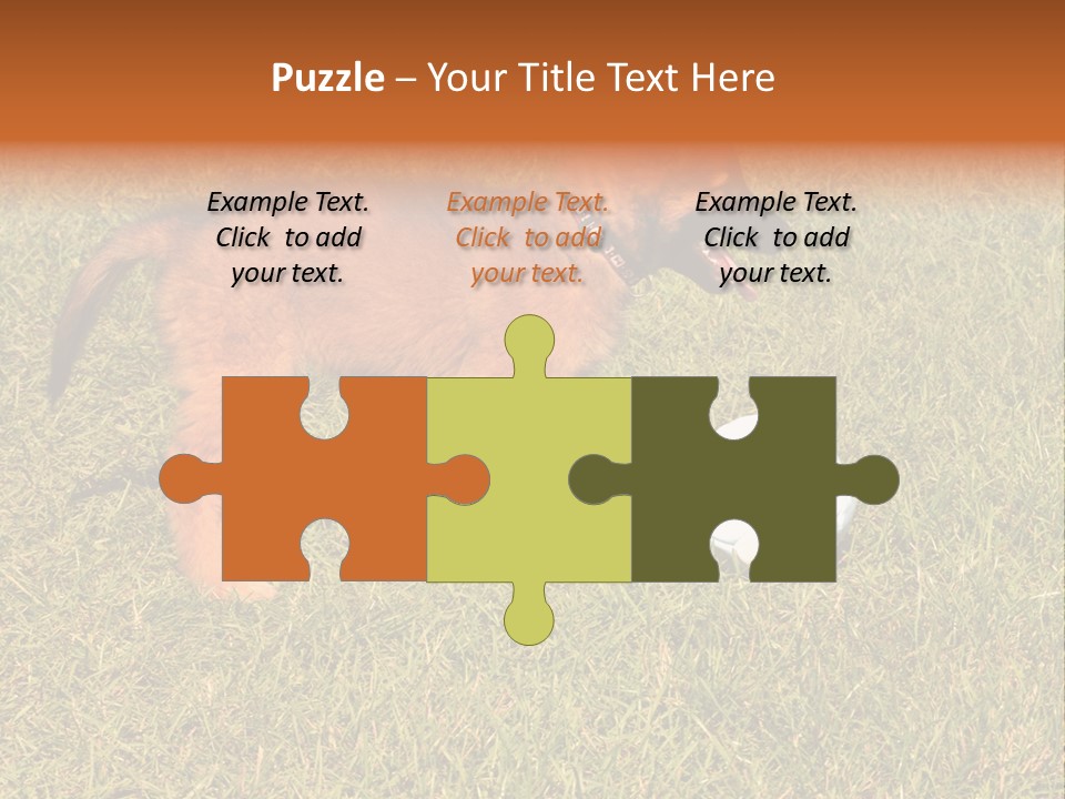 Tervueren Puppy PowerPoint Template