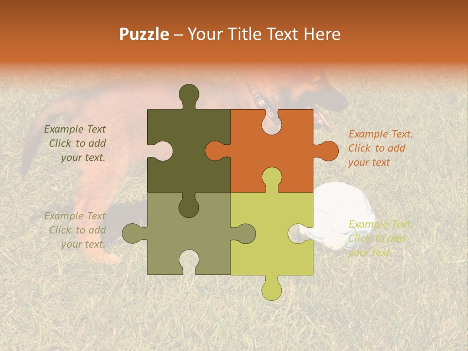 Tervueren Puppy PowerPoint Template