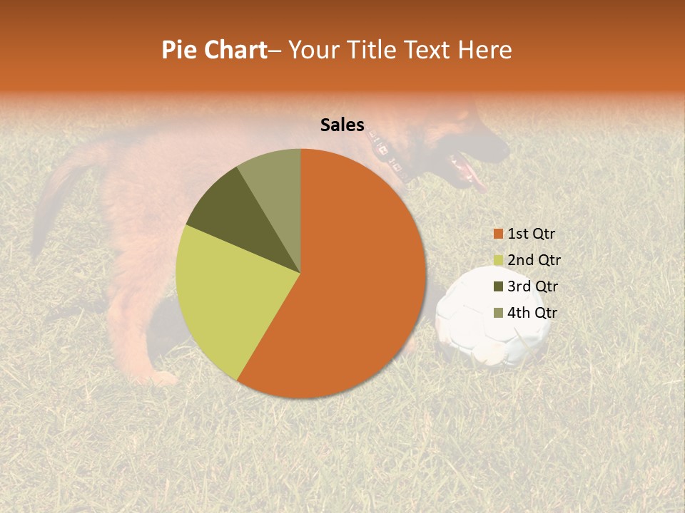 Tervueren Puppy PowerPoint Template