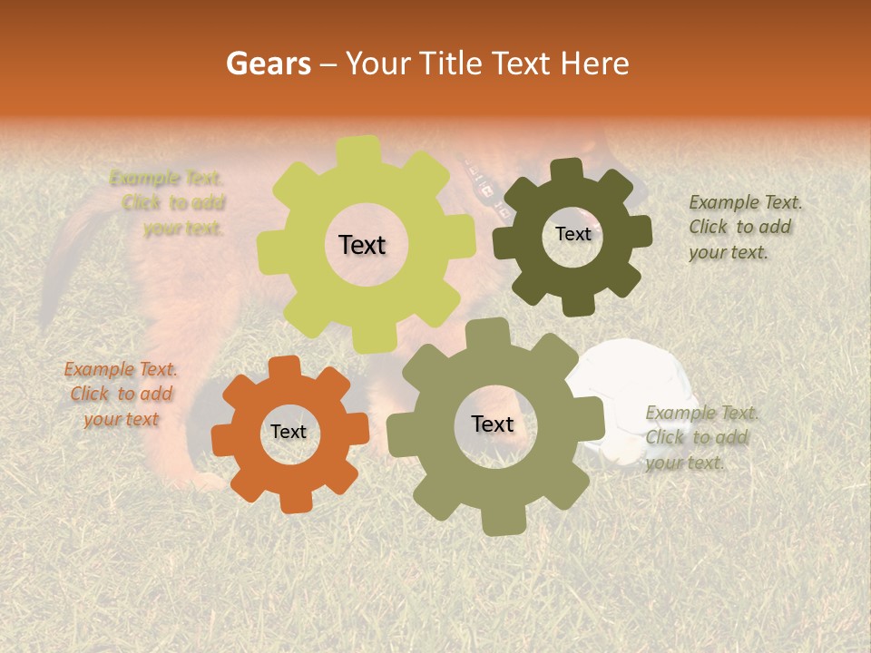 Tervueren Puppy PowerPoint Template