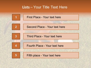 Tervueren Puppy PowerPoint Template
