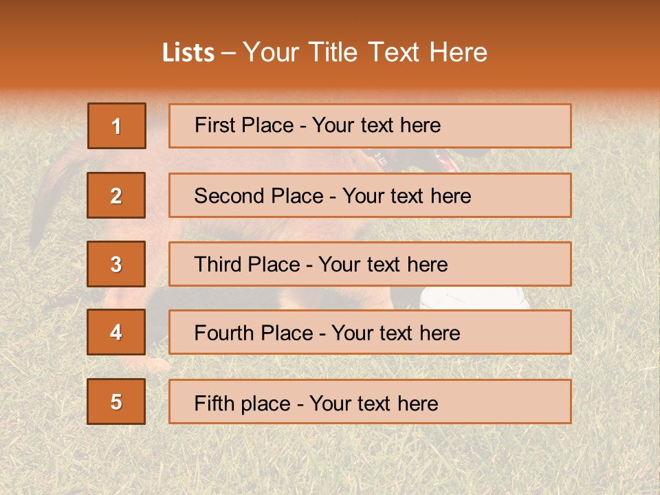 Tervueren Puppy PowerPoint Template
