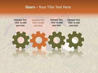 Tervueren Puppy PowerPoint Template