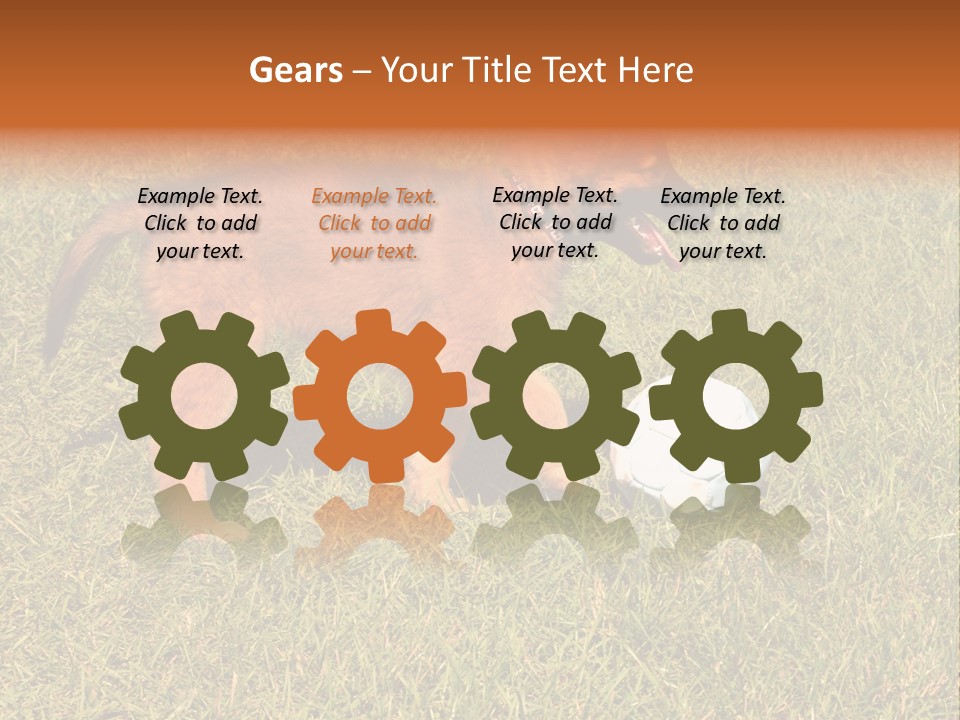 Tervueren Puppy PowerPoint Template