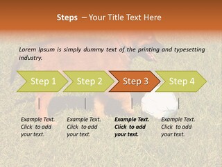 Tervueren Puppy PowerPoint Template