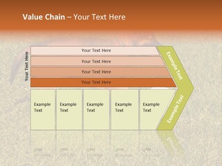 Tervueren Puppy PowerPoint Template