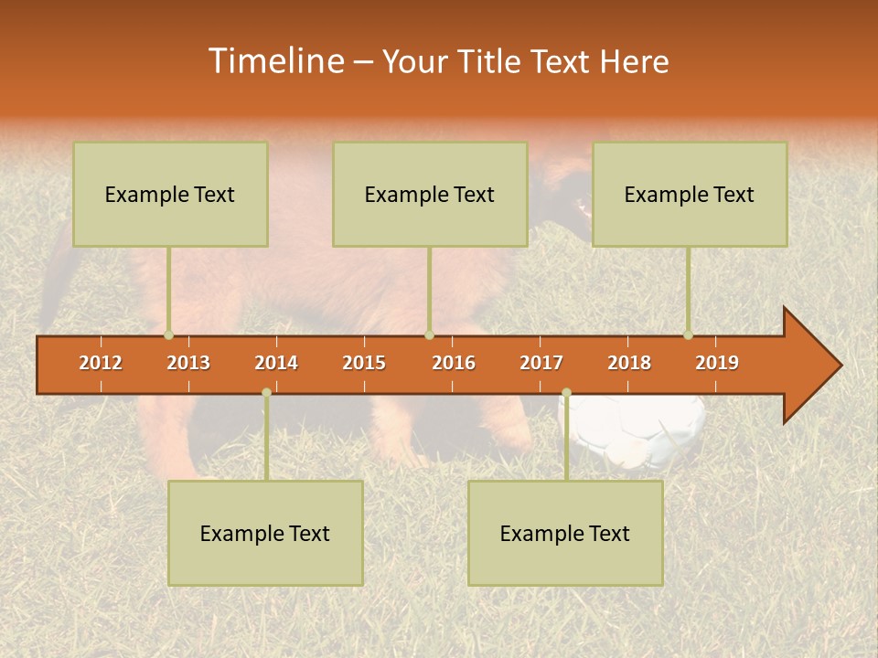 Tervueren Puppy PowerPoint Template