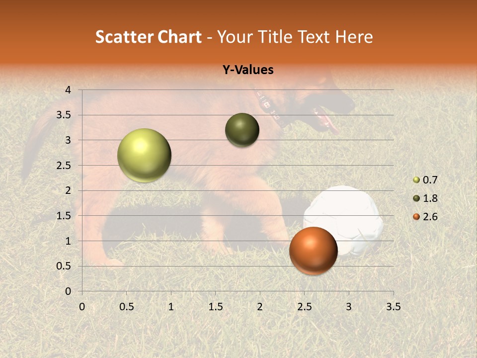 Tervueren Puppy PowerPoint Template