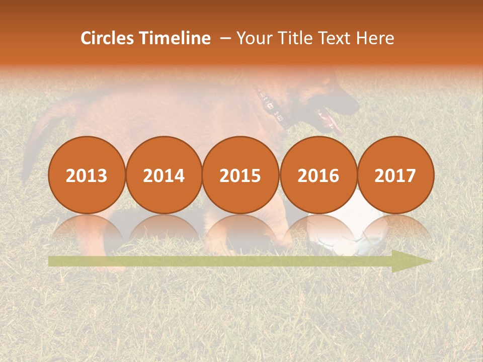 Tervueren Puppy PowerPoint Template