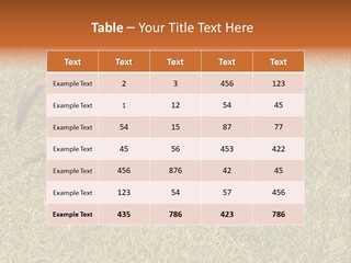 Tervueren Puppy PowerPoint Template