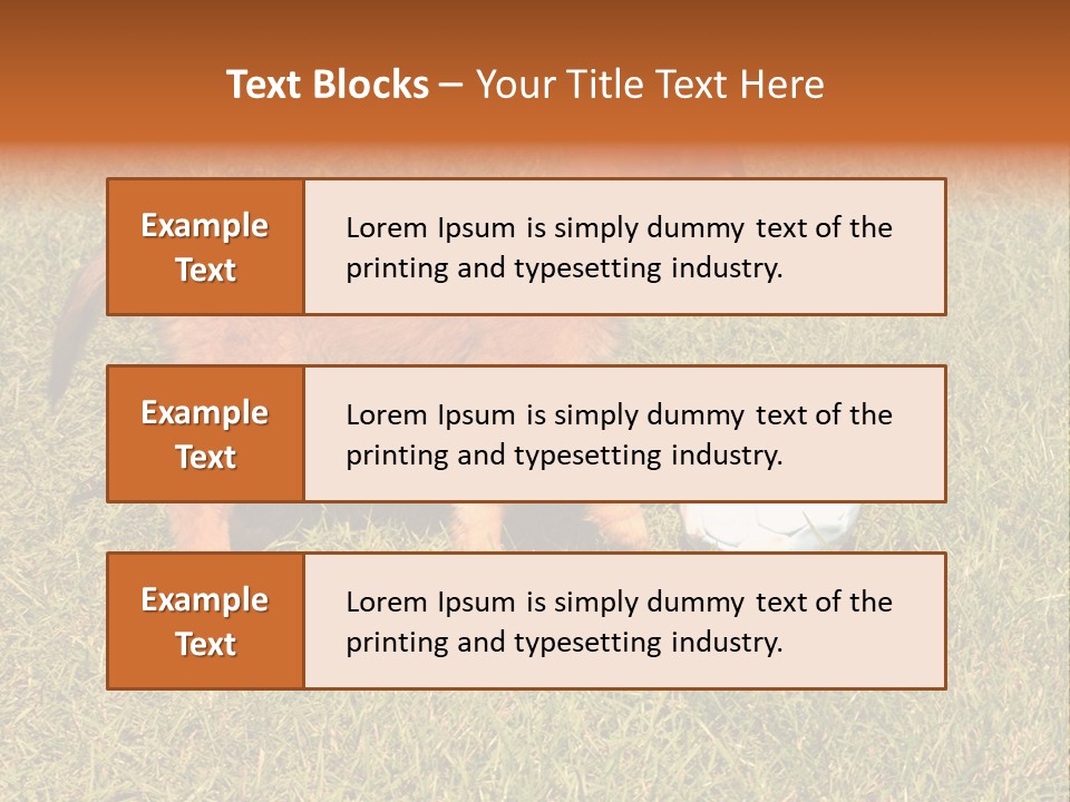 Tervueren Puppy PowerPoint Template