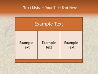 Tervueren Puppy PowerPoint Template