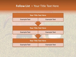 Tervueren Puppy PowerPoint Template