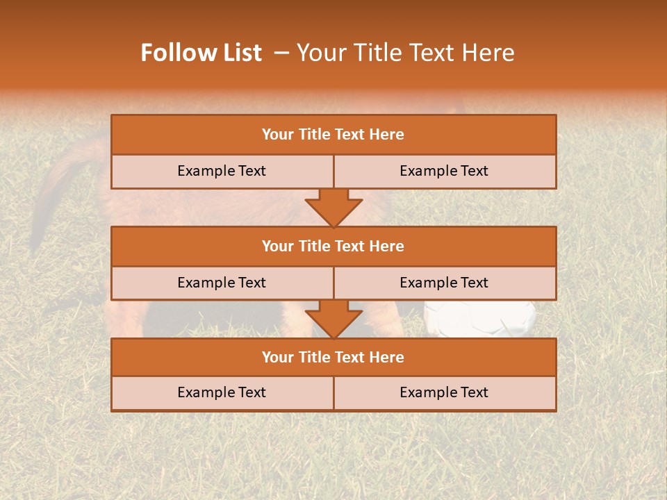 Tervueren Puppy PowerPoint Template