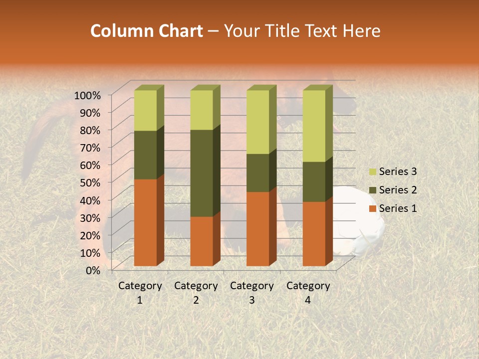 Tervueren Puppy PowerPoint Template