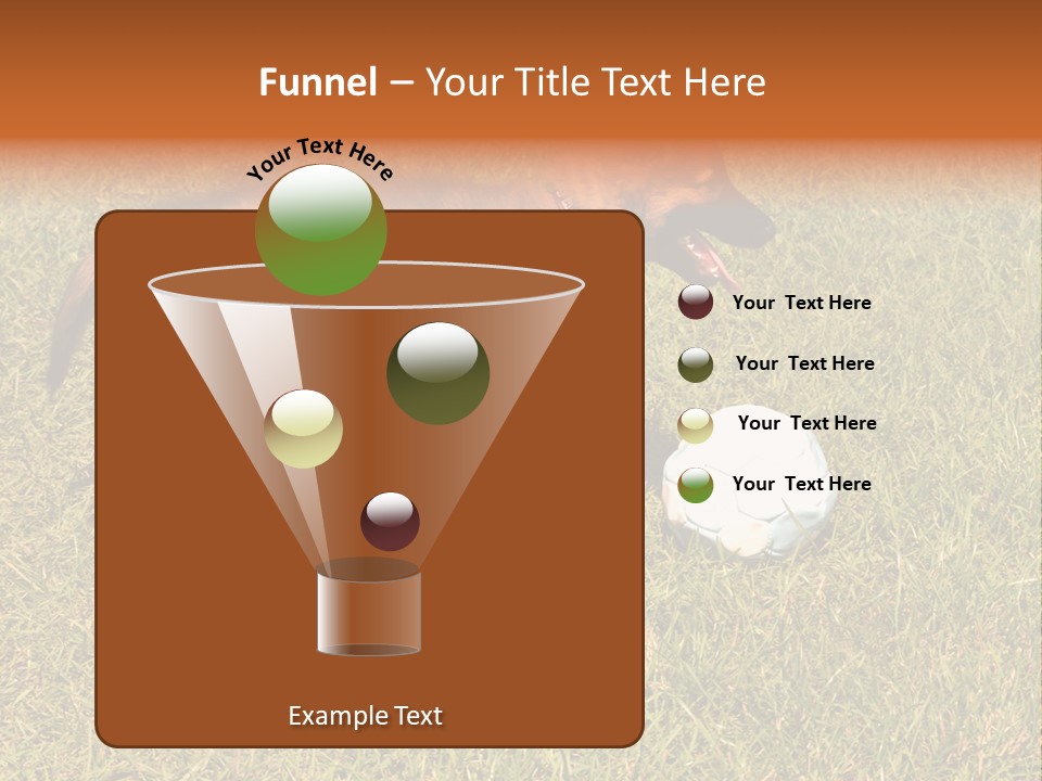 Tervueren Puppy PowerPoint Template