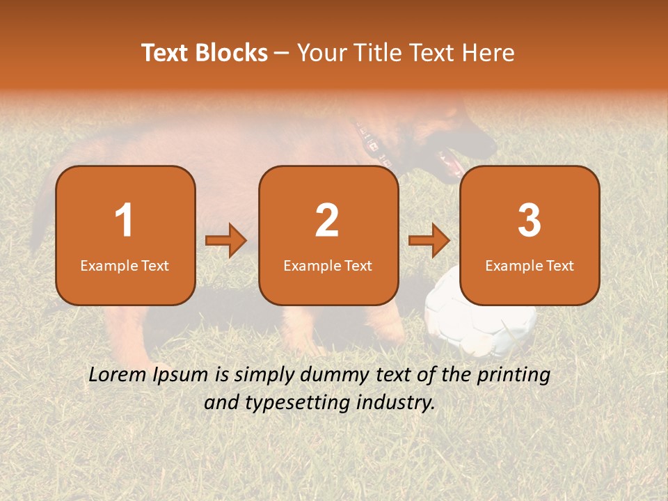Tervueren Puppy PowerPoint Template