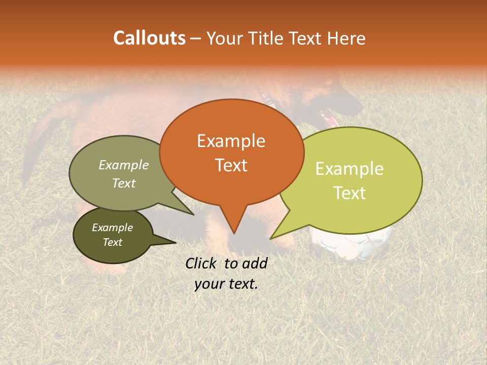 Tervueren Puppy PowerPoint Template