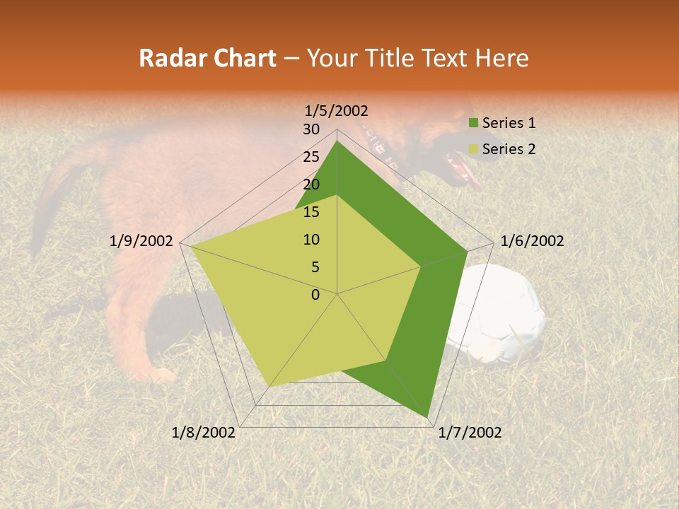 Tervueren Puppy PowerPoint Template