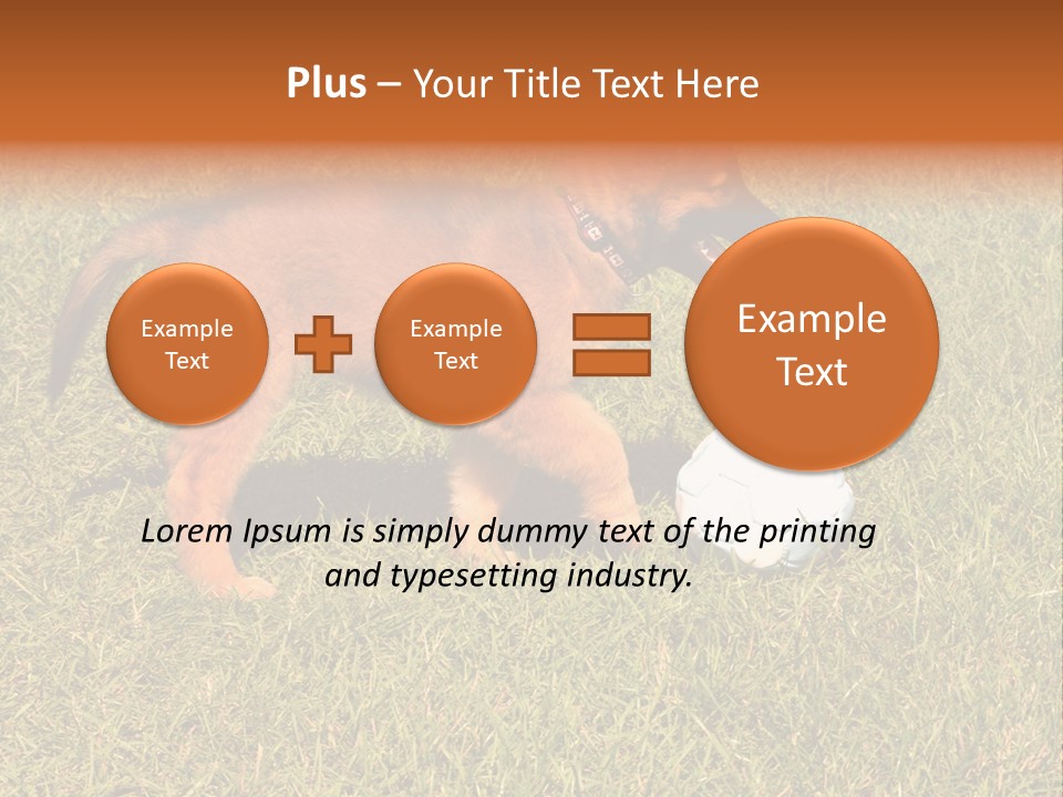 Tervueren Puppy PowerPoint Template