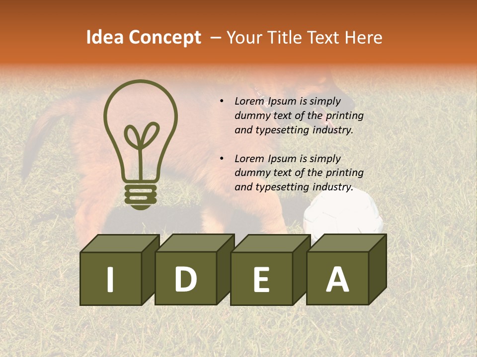 Tervueren Puppy PowerPoint Template