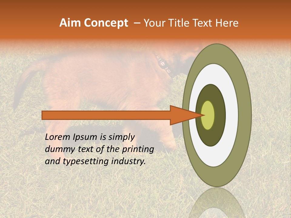 Tervueren Puppy PowerPoint Template