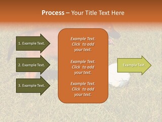 Tervueren Puppy PowerPoint Template