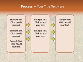 Tervueren Puppy PowerPoint Template